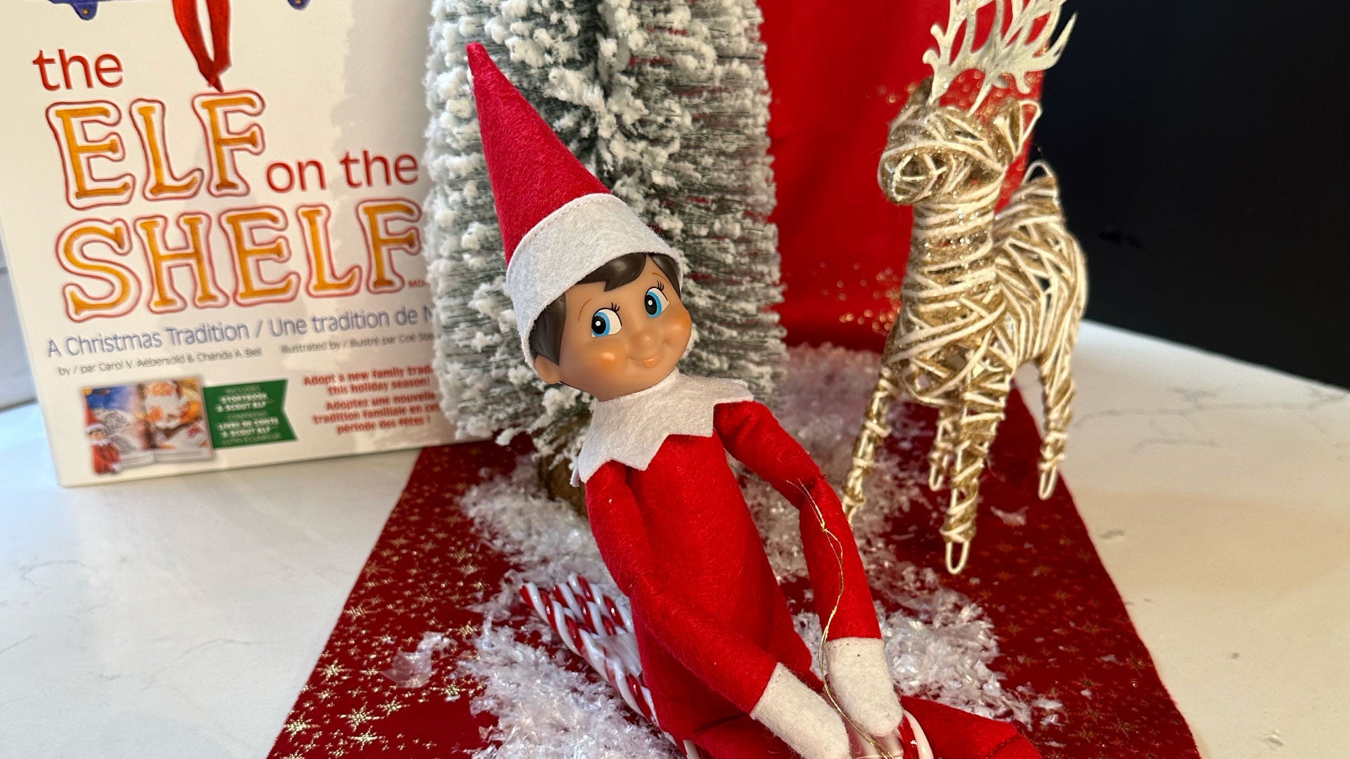 Elf on the Shelf ideas: 24 Creative Ideas to Delight Your Family – Party  Expert