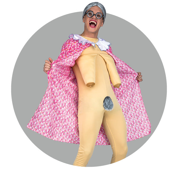 Various Design Fancy Dress Inflatable Suit -Fan Operated Costume