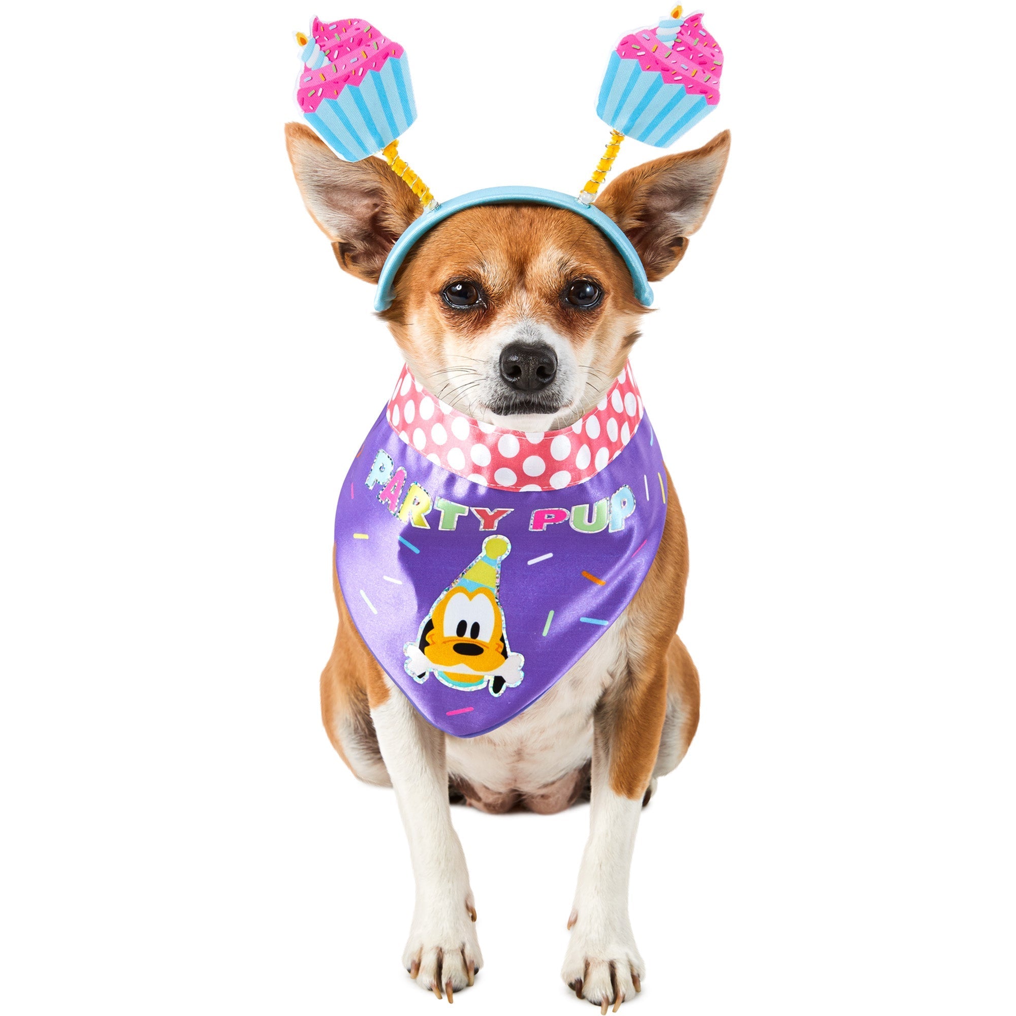 Party Pup Booper Set for Dogs Party Expert