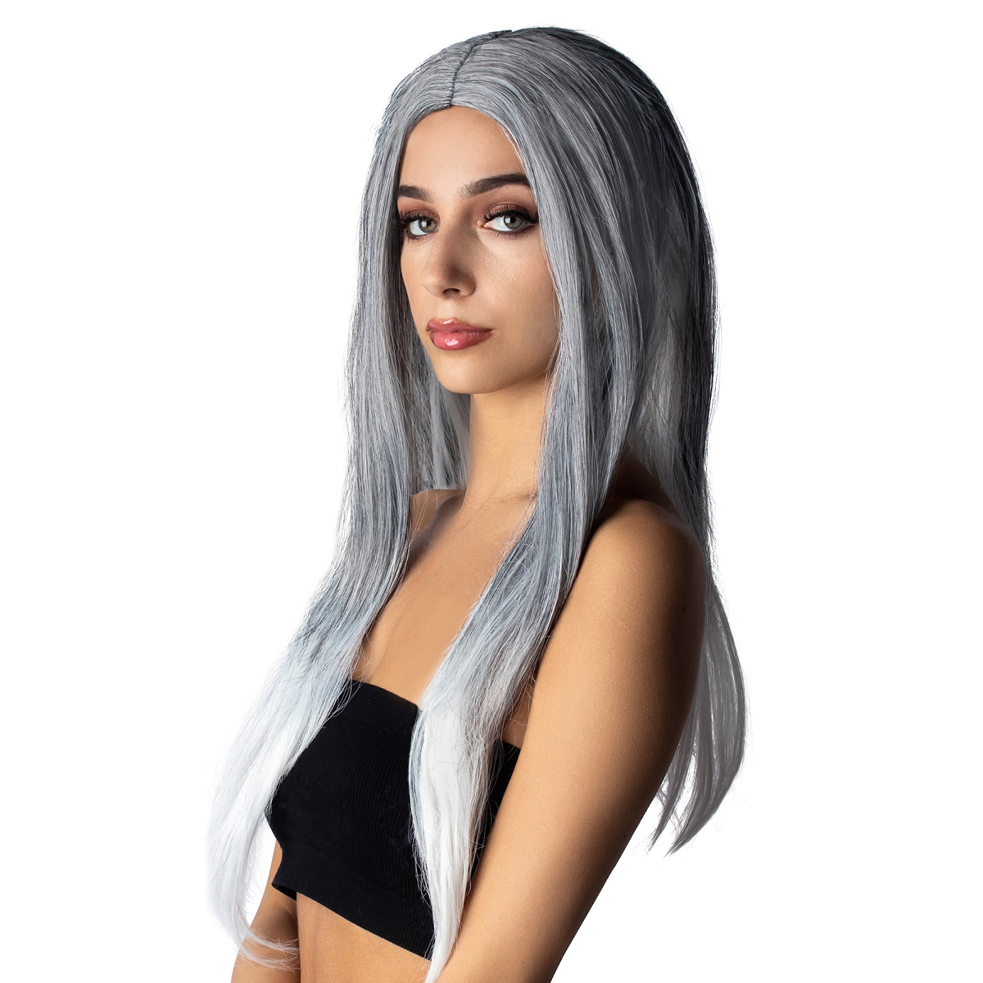 Straight Grey and white Wig for Adults Party Expert