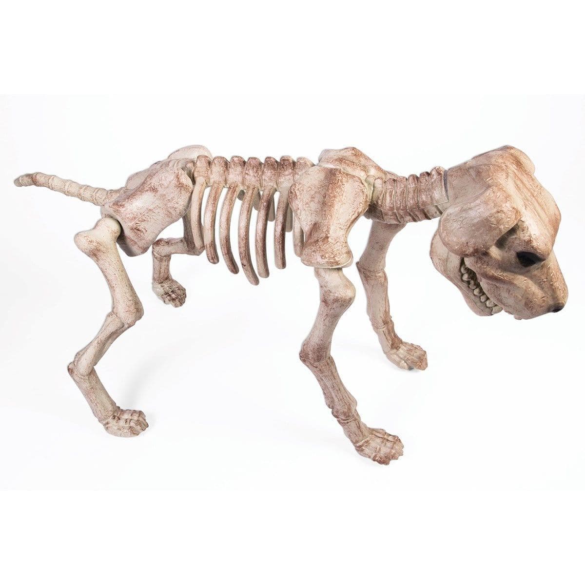 Dog skeleton costume large hotsell