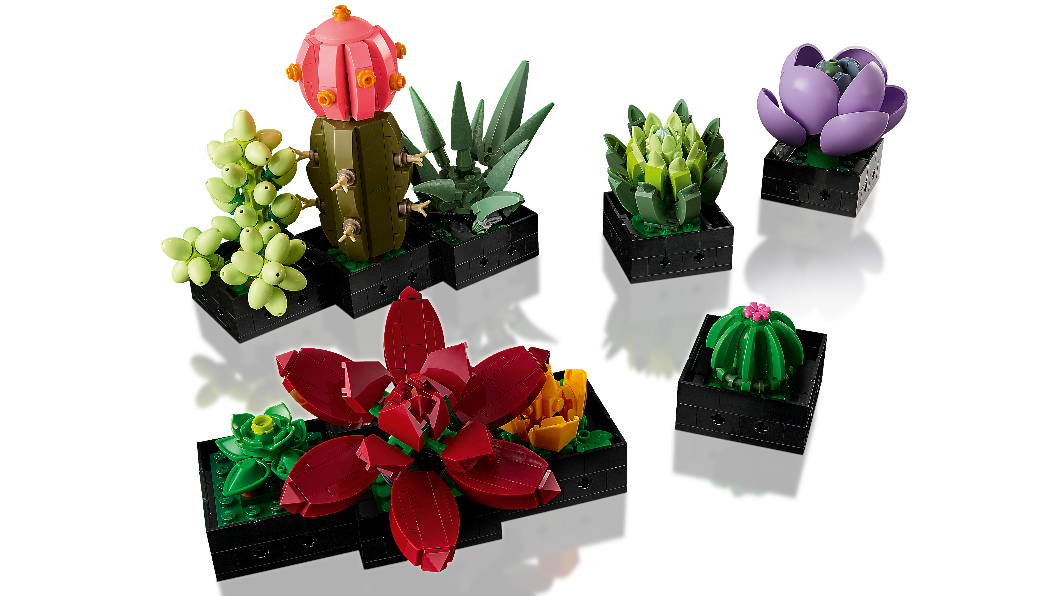 Nouveautés LEGO Botanical Collection 10309 Succulents et 10311