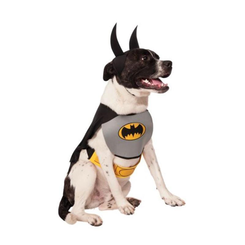 Dog dressed shop as batman