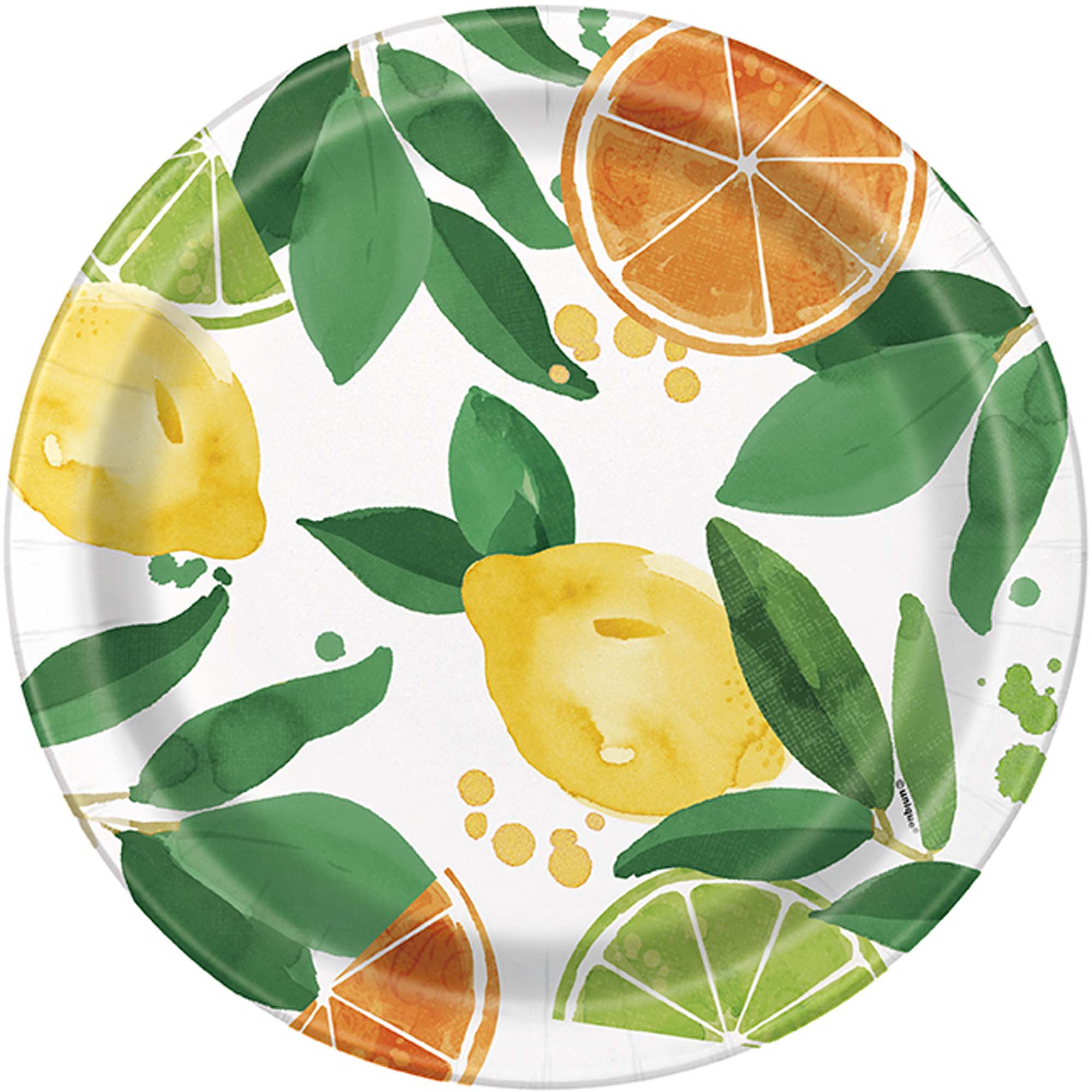 Main Squeeze Lemonade Party Supplies and Decorations | Party Expert