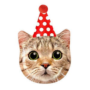 Party Cats and Dogs Birthday Party Supplies and Decorations