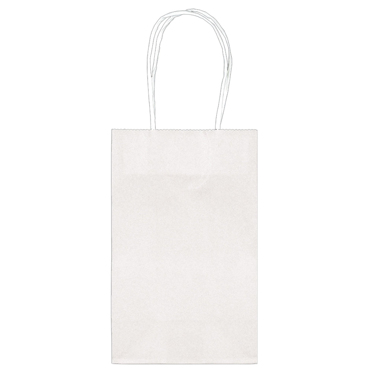 AMSCAN CA Gift Wrap & Bags Value Pack Paper Cub Bags - White 10/pkg. 048419871682