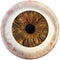 AMSCAN CA Halloween Creepy Carnival Eyeball Large Round Melamine Platter, 15 Inches, 1 Count 192937401057