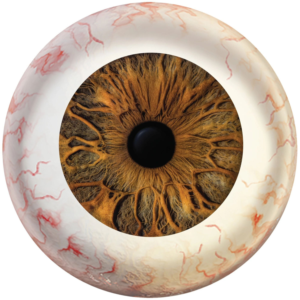 AMSCAN CA Halloween Creepy Carnival Eyeball Large Round Melamine Platter, 15 Inches, 1 Count 192937401057