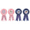 AMSCAN CA Kids Birthday Saddle Up Birthday Award Ribbons, 4 Count 192937106648