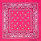 BUY4STORE Costumes Accessories Pink Bandana, 1 Count 810077659991