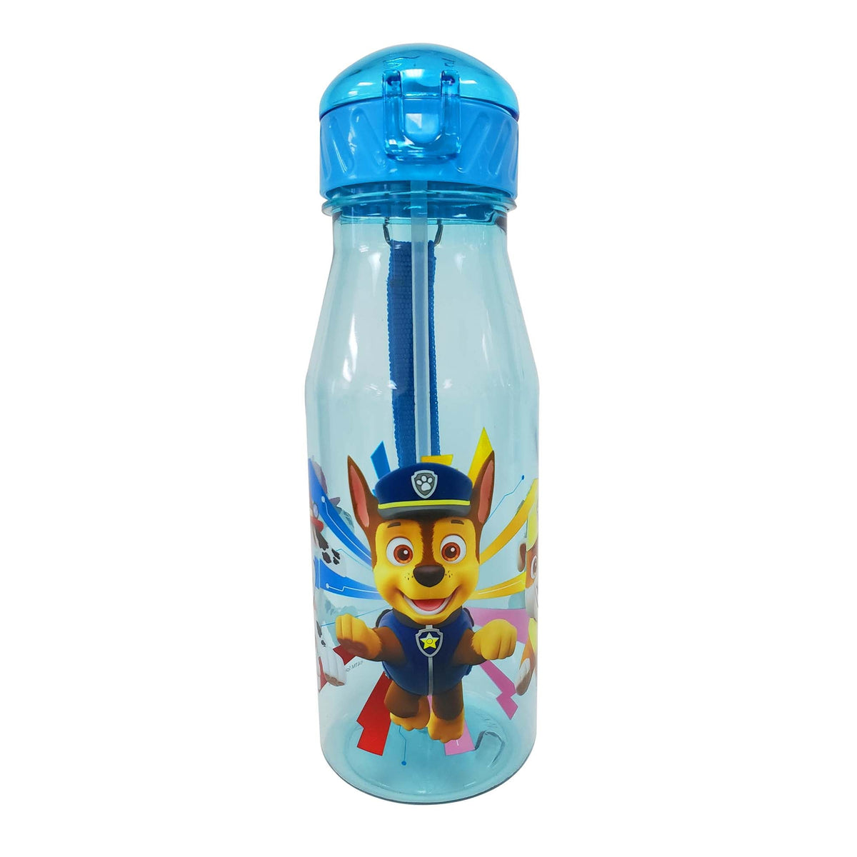 DANAWARES Kids Birthday Paw Patrol Blue Dome Cap Bottle with Straw and Carrying Strap, 1 Count 059562442346