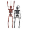 FUN WORLD Halloween Hanging Rustic Skeleton, 14 Inches, Assortment, 1 Count 071765112932