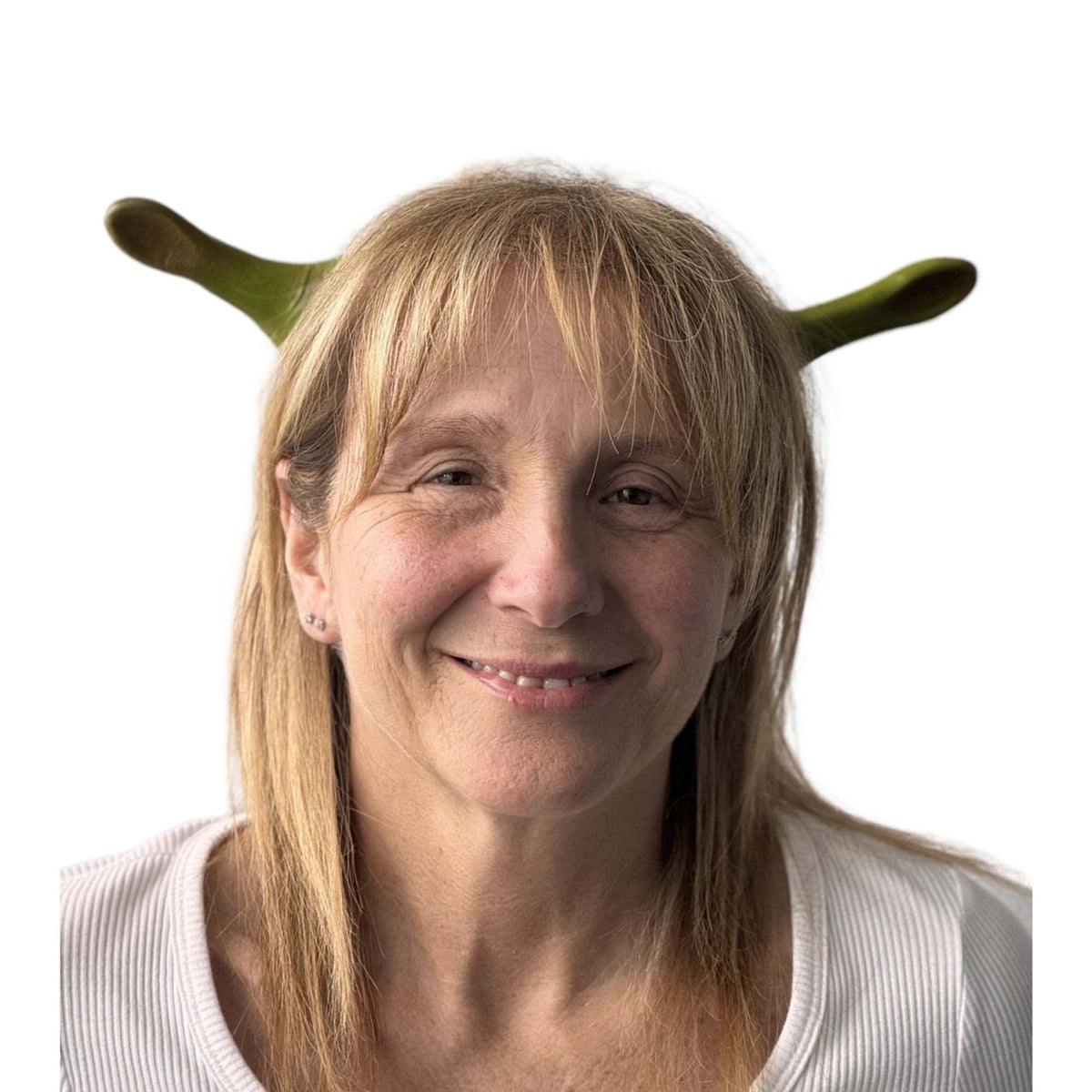 HMS NOUVEAUTE LTEE Costume Accessories Ogre Ears for Adults