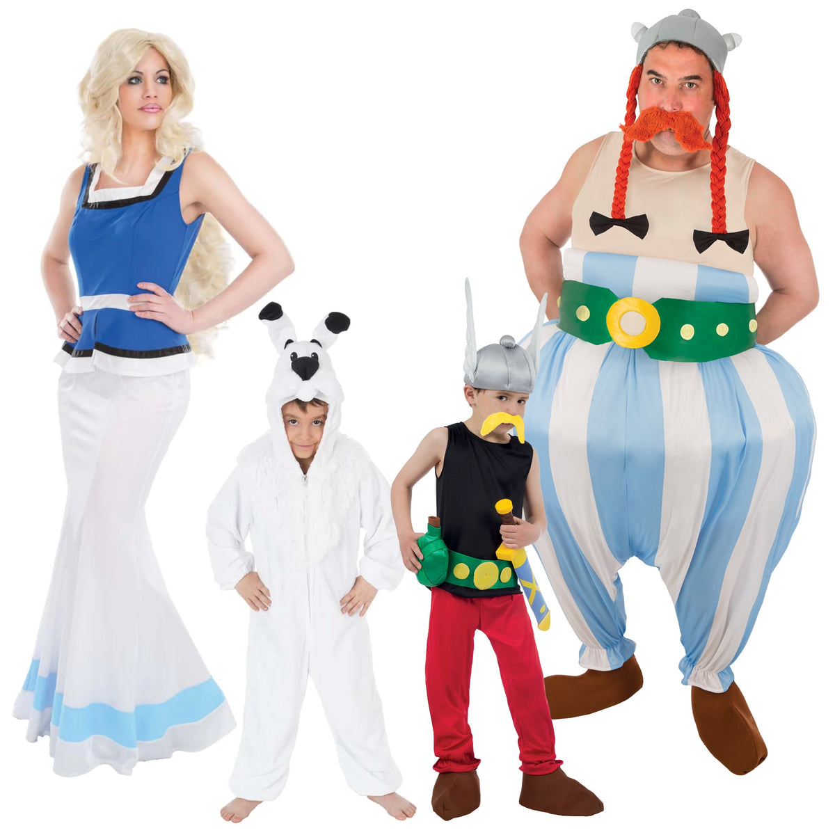 Party Expert Asterix and Obelix Family Costumes 717439814