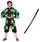 PARTY EXPERT Demon Slayer Tanjiro Costume Kit for Kids