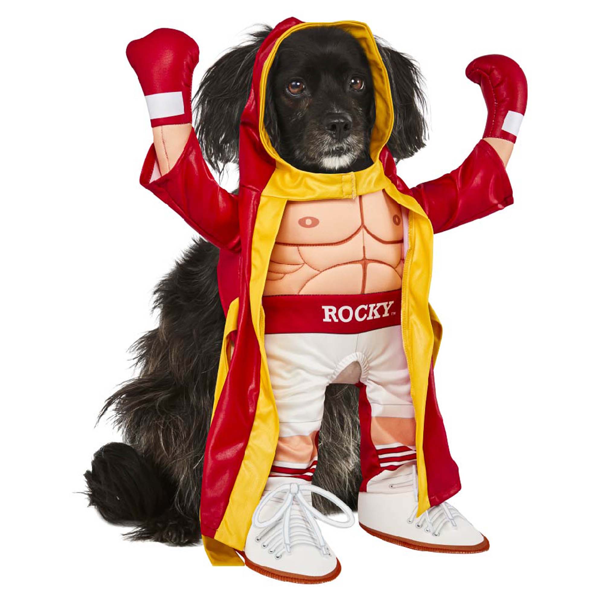 Rocky Balboa Costume for Pets | Party Expert
