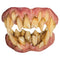 TRICK OR TREAT STUDIOS INC Costume Accessories Demon Horror Teeth 810116284122