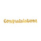 UNIQUE PARTY FAVORS Graduation Golden Star Graduation "Congratulations" Gold Banner, 42 Inches, 1 Count 011179617487