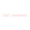 UNIQUE PARTY FAVORS Wedding Pink "Just Married" Fabric Banner, 84 Inches, 1 Count 011179287239