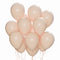 WIDE OCEAN INTERNATIONAL TRADE BEIJING CO., LTD Balloons Blush Nude Latex Balloon 12 Inches, 72 Count 810077656334