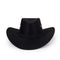 YIWU EVERGROWING CAP LIMITED Costume Accessories Black Suede Cowboy Hat for Adults 810120716725