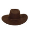 YIWU EVERGROWING CAP LIMITED Costume Accessories Dark Brown Suede Cowboy Hat for Adults 810120716749