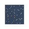 YIWU SANDY PAPER PRODUCTS CO., LTD Everyday Entertaining Navy Blue Small Beverage Napkins with Gold Confetti, 16 Count 810120711911