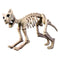 Buy Halloween Cat skeleton sold at Party Expert