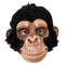 Buy Costume Accessories Chimp George mask sold at Party Expert