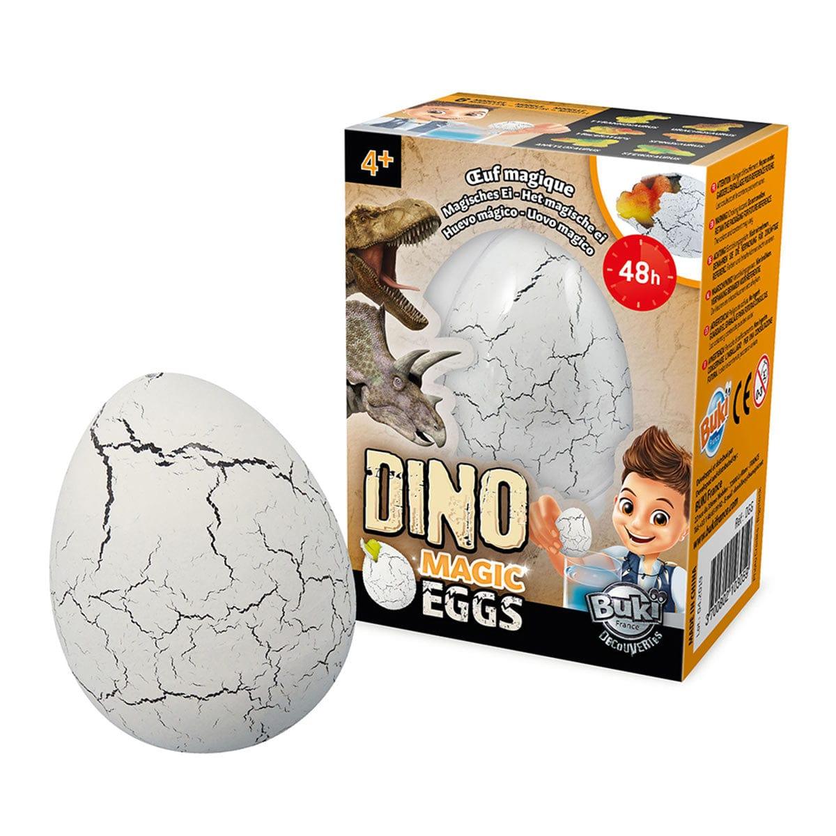 Magic dinosaur egg on sale