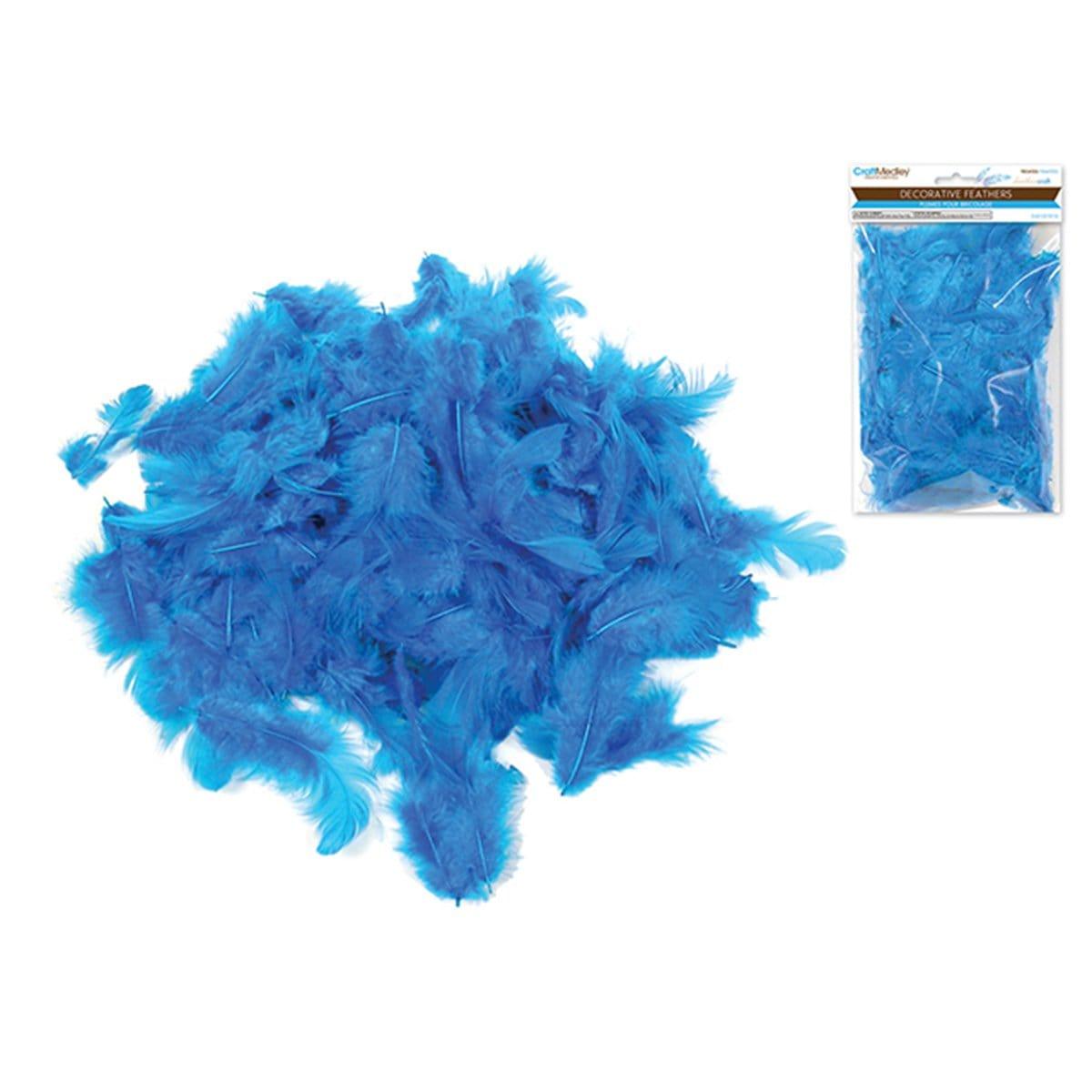 Buy Balloons Blue Feather sold at Party Expert