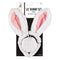 Buy Costume Accessories Bunny costume kit for kids sold at Party Expert