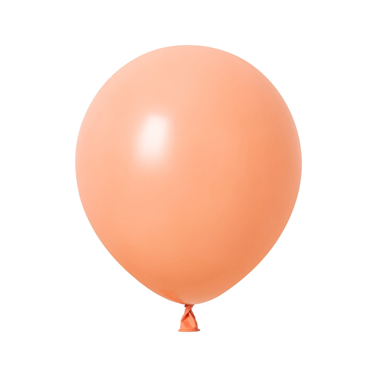 WIDE OCEAN INTERNATIONAL TRADE BEIJING CO., LTD Balloons Peach Latex Balloon 5 Inches, 100 Count 810064198120